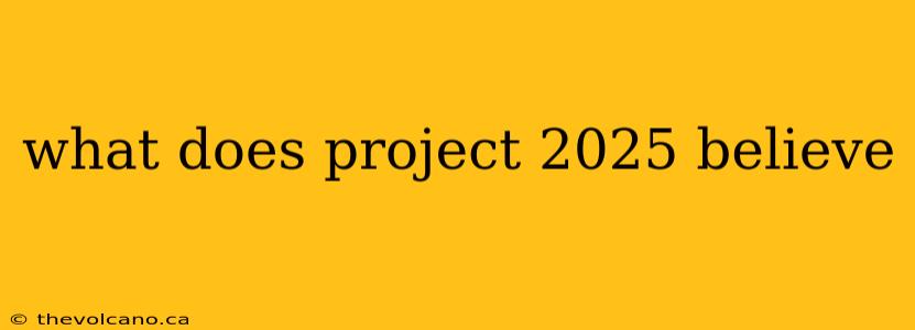 what does project 2025 believe