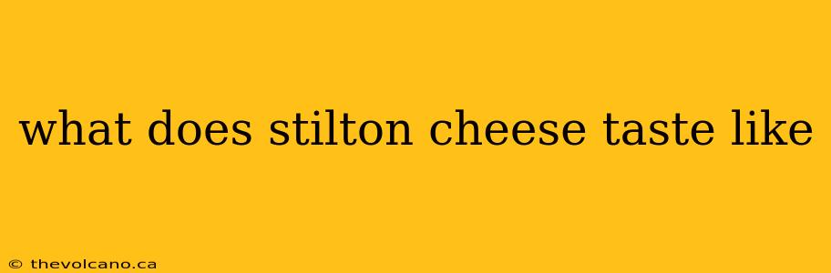 what does stilton cheese taste like