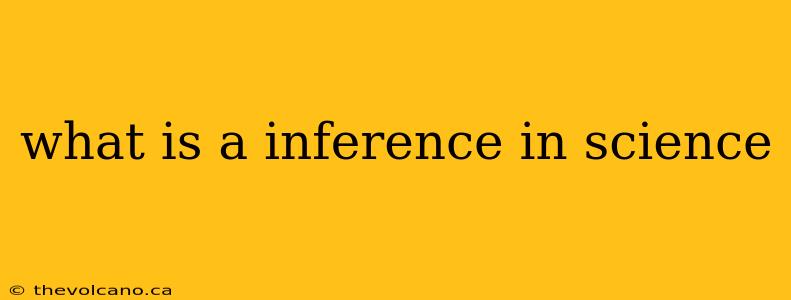 what is a inference in science