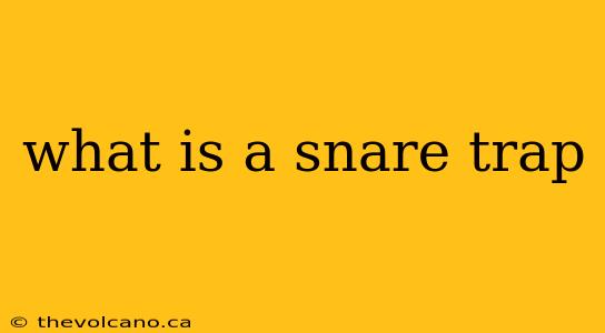 what is a snare trap