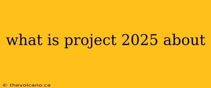 what is project 2025 about