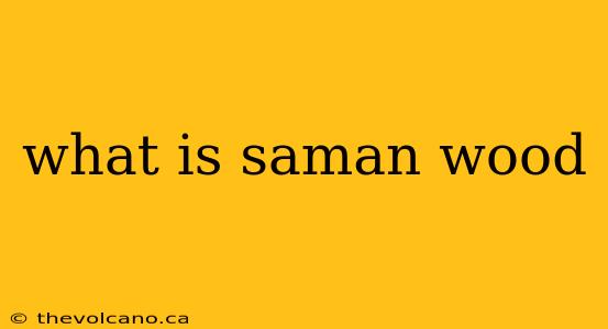 what is saman wood