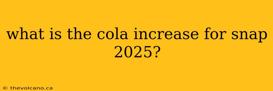 what is the cola increase for snap 2025?