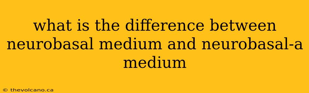 what is the difference between neurobasal medium and neurobasal-a medium