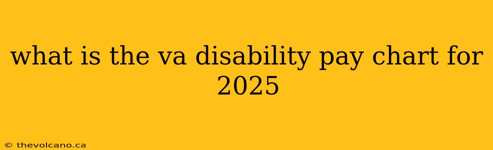 what is the va disability pay chart for 2025