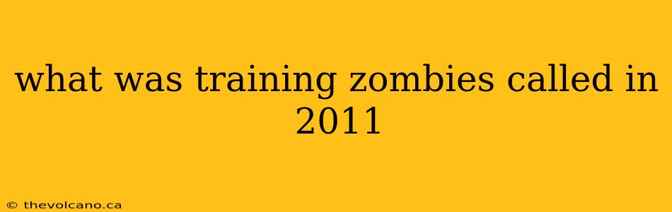 what was training zombies called in 2011