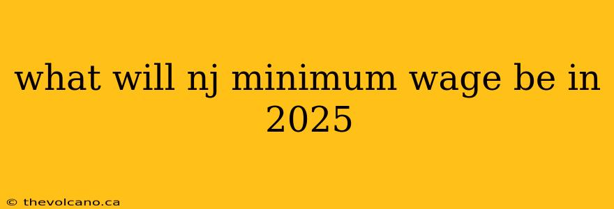 what will nj minimum wage be in 2025