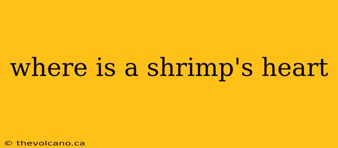 where is a shrimp's heart