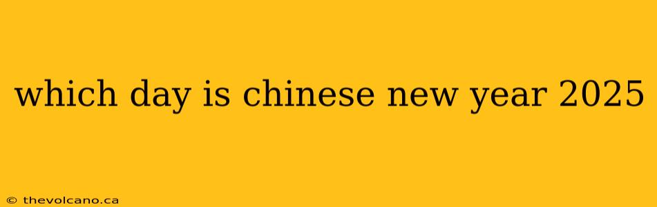 which day is chinese new year 2025