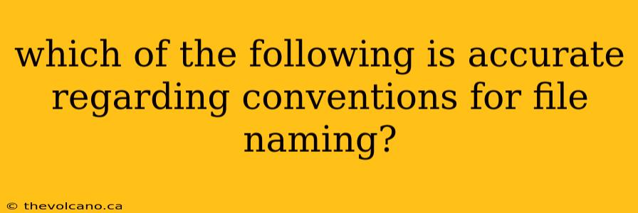 which of the following is accurate regarding conventions for file naming?