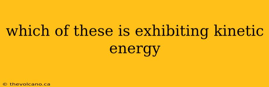 which of these is exhibiting kinetic energy