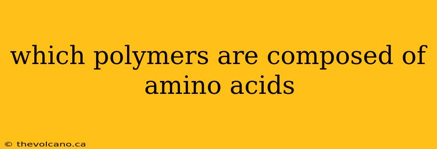 which polymers are composed of amino acids
