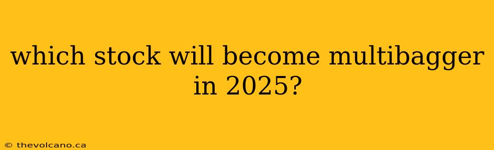which stock will become multibagger in 2025?
