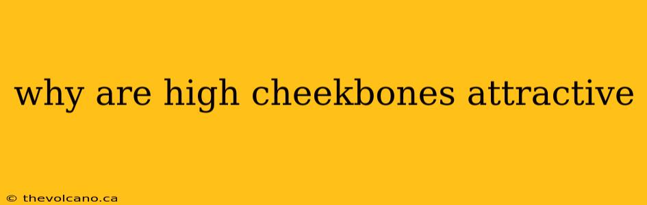 why are high cheekbones attractive