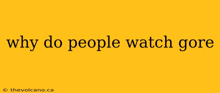 why do people watch gore