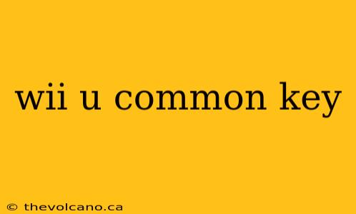wii u common key