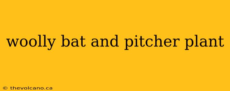 woolly bat and pitcher plant