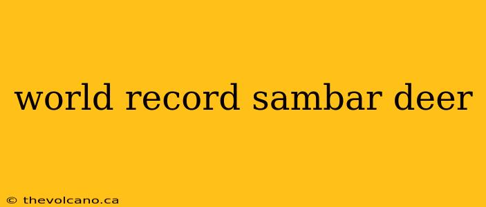world record sambar deer