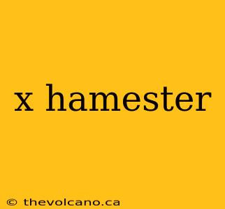 x hamester
