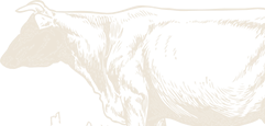 Image is not available